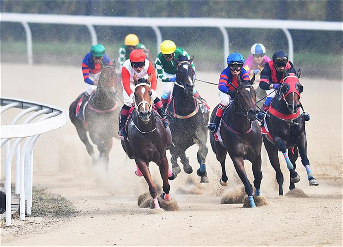 第十九届中国·武汉国际赛马节隆重开幕
