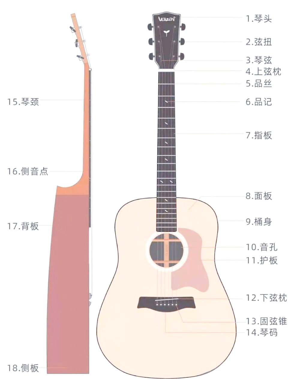 吉他各部分的名称与功能详解