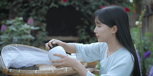 从茶芽冒尖到一杯清茗,拍完了茶,又了了一个心愿!