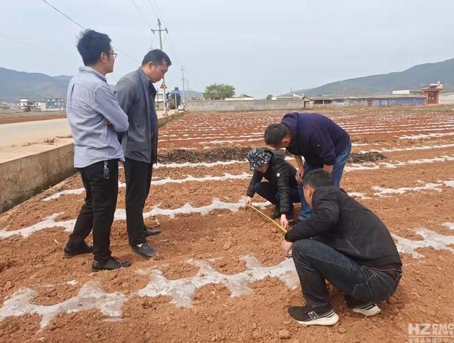 国家乡村振兴重点帮扶县科技特派团团长赵银月到 会泽调研督导大豆