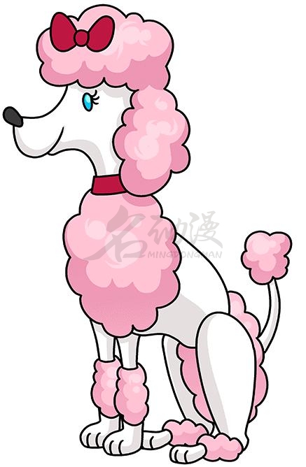 贵宾犬绘画小教程