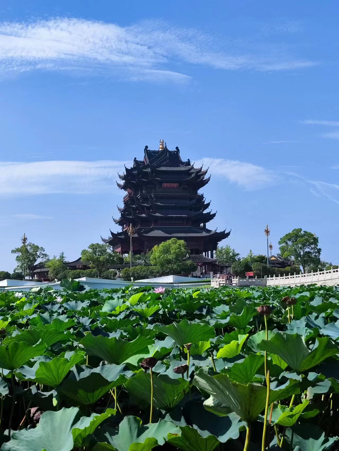 打卡水天佛国苏州重元寺