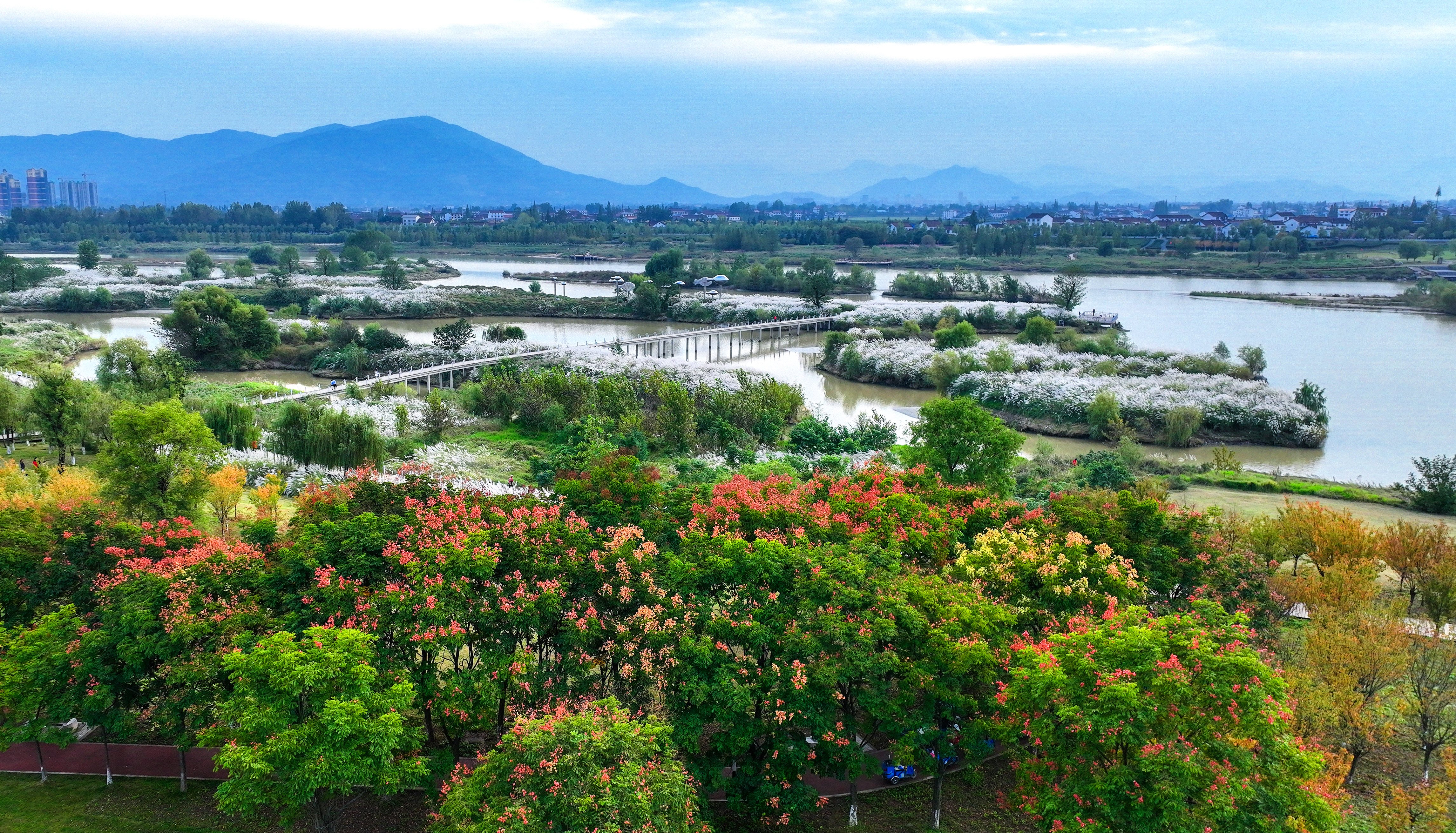 新闻多一点|天汉湿地公园:汉中绿水青山生态画卷的"城市名片"