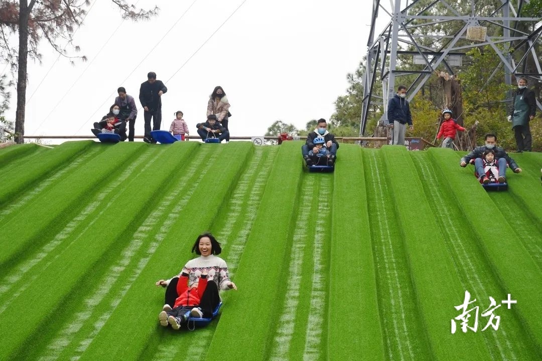 僑鑫生態園首次開放卡丁車,趁著國慶假期快來三水樂平打卡