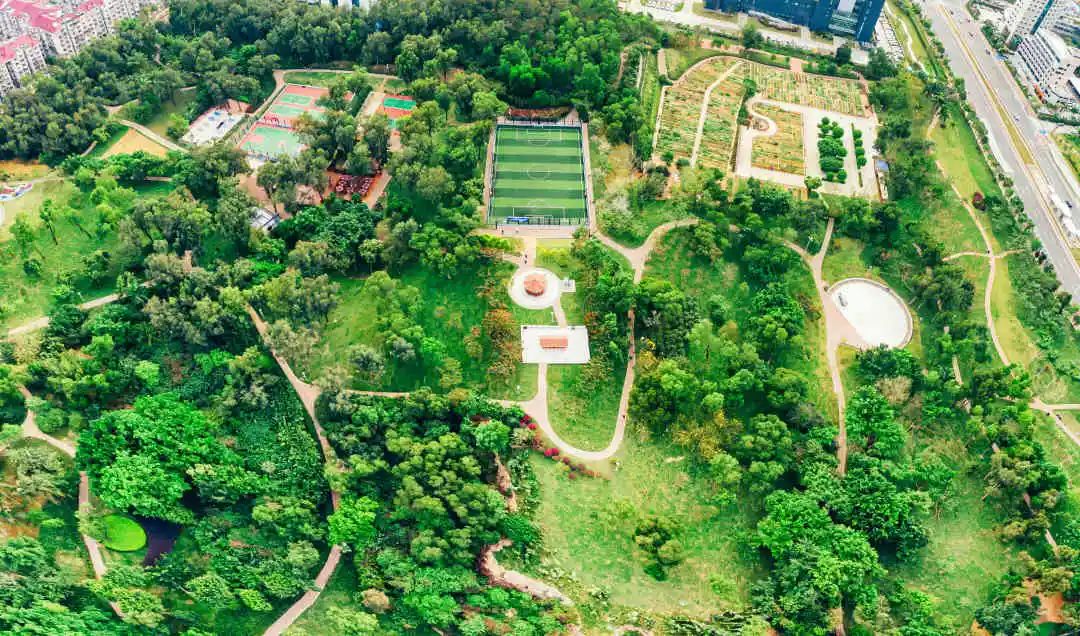 香洲這個公園,榮獲一等獎!