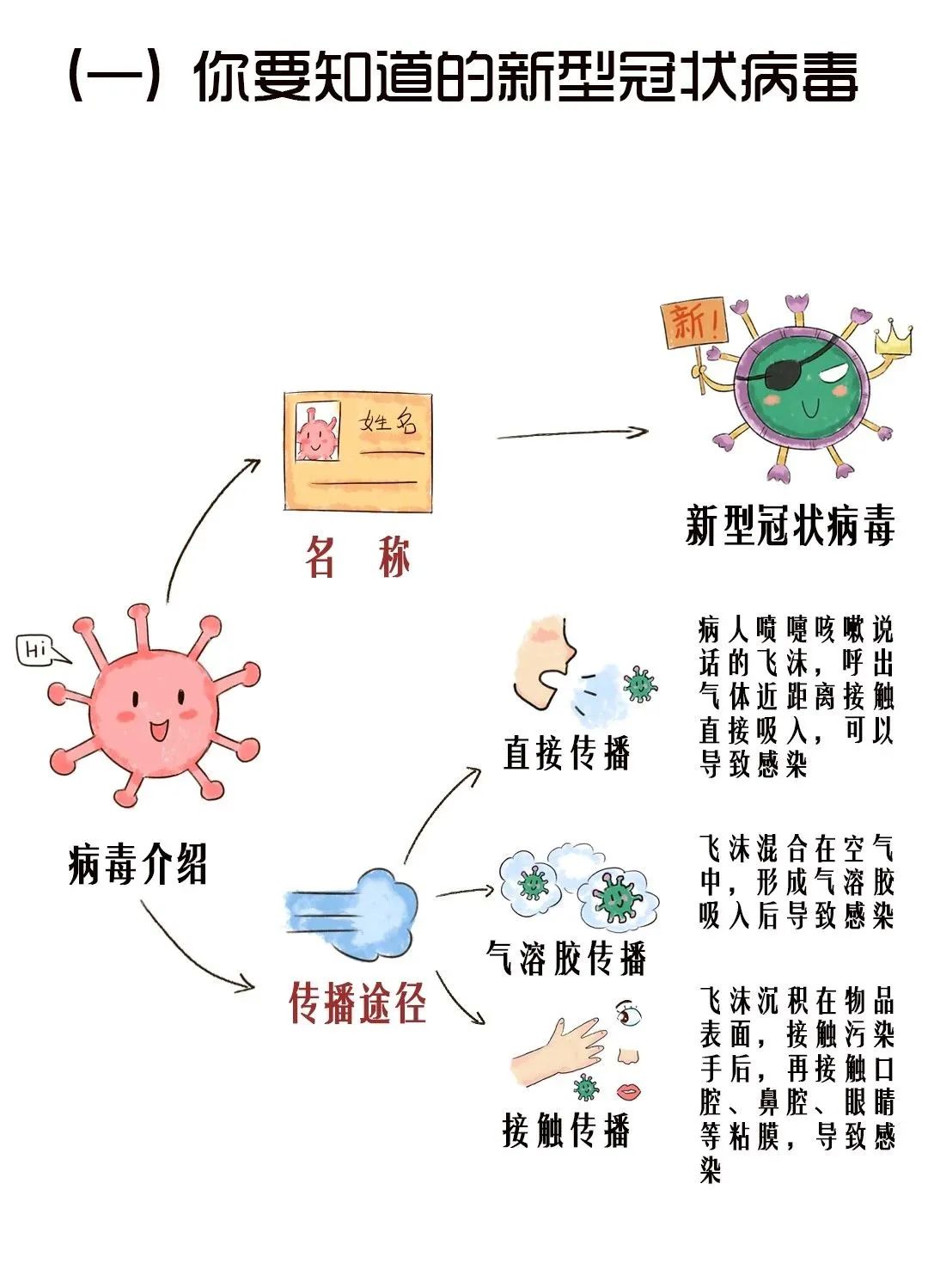 新冠病毒变化过程图片