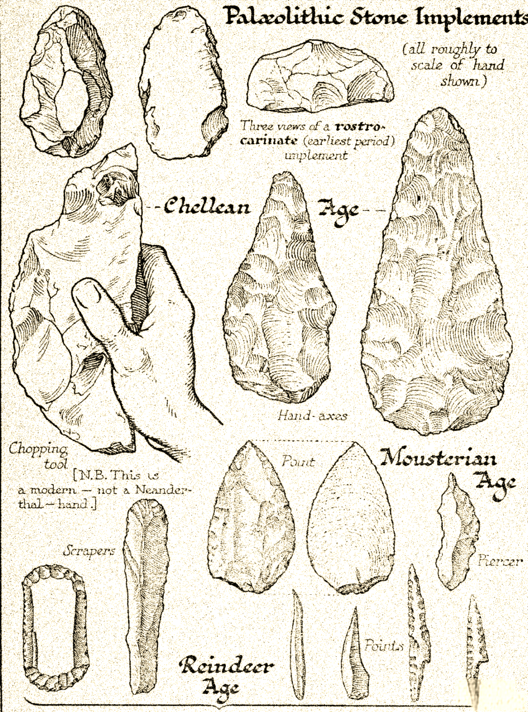 尼安德特人的神秘灭绝与人类起源的启示