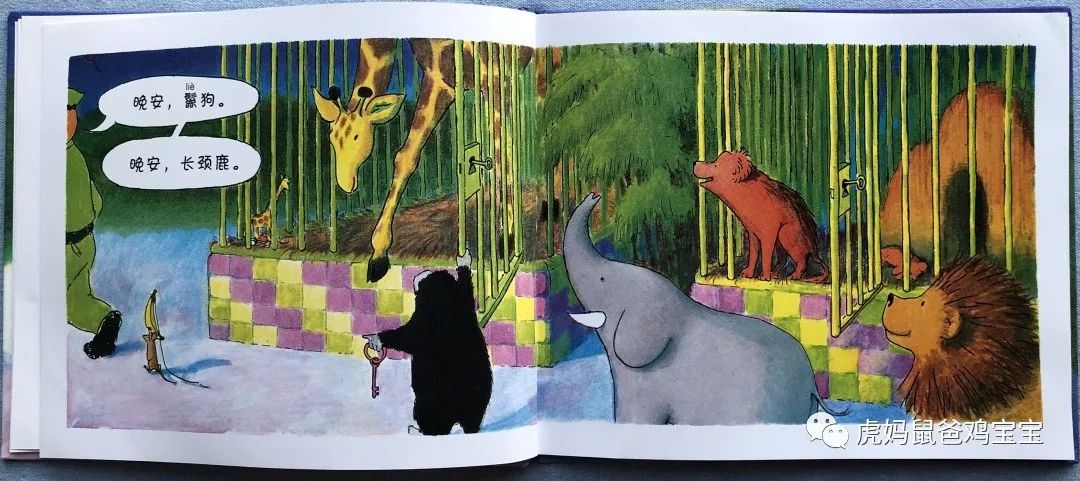 绘本|《晚安,大猩猩》,细节超多的低幼图画书