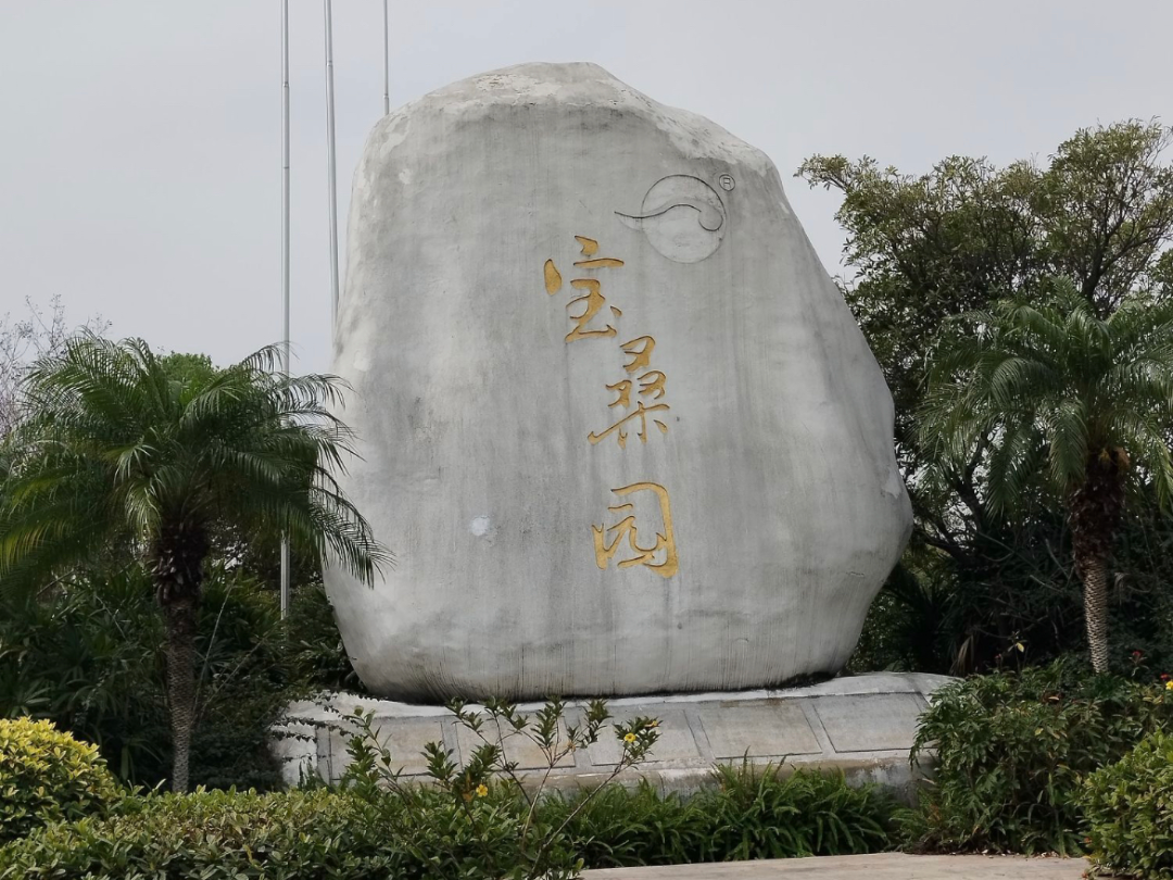 广州花都宝桑园 露营摘桑葚