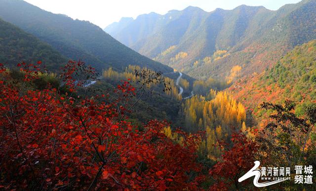 泽州:"世外桃源"青龛村