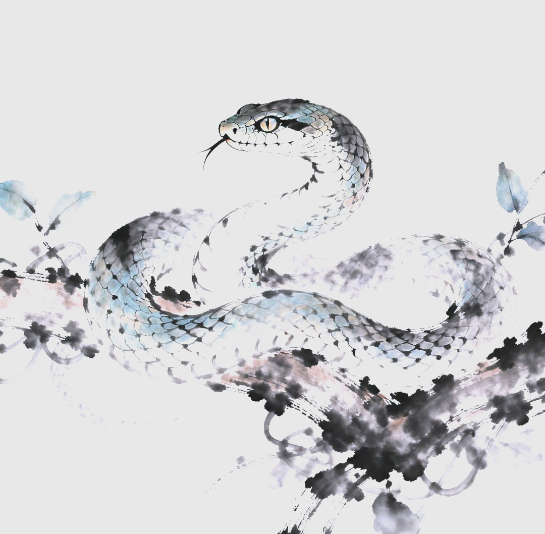 生肖蛇运势2025年(2025年生肖蛇全年运程)