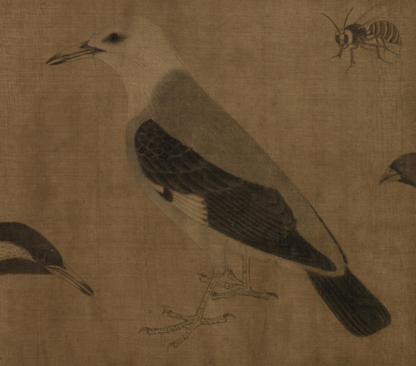 黄筌写生珍禽图卷五代十国