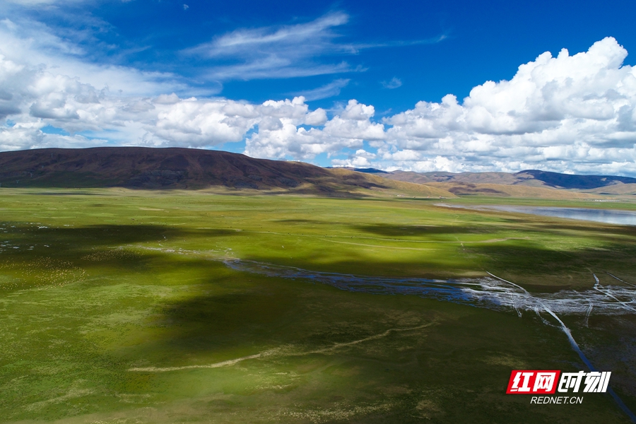 把山南唱给你听丨听《哲古草原》,走进高原之上星光点缀的生活