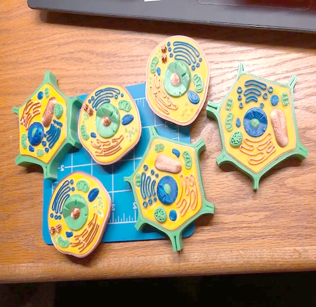 多种3d打印细胞模型,生动展示生物学知识