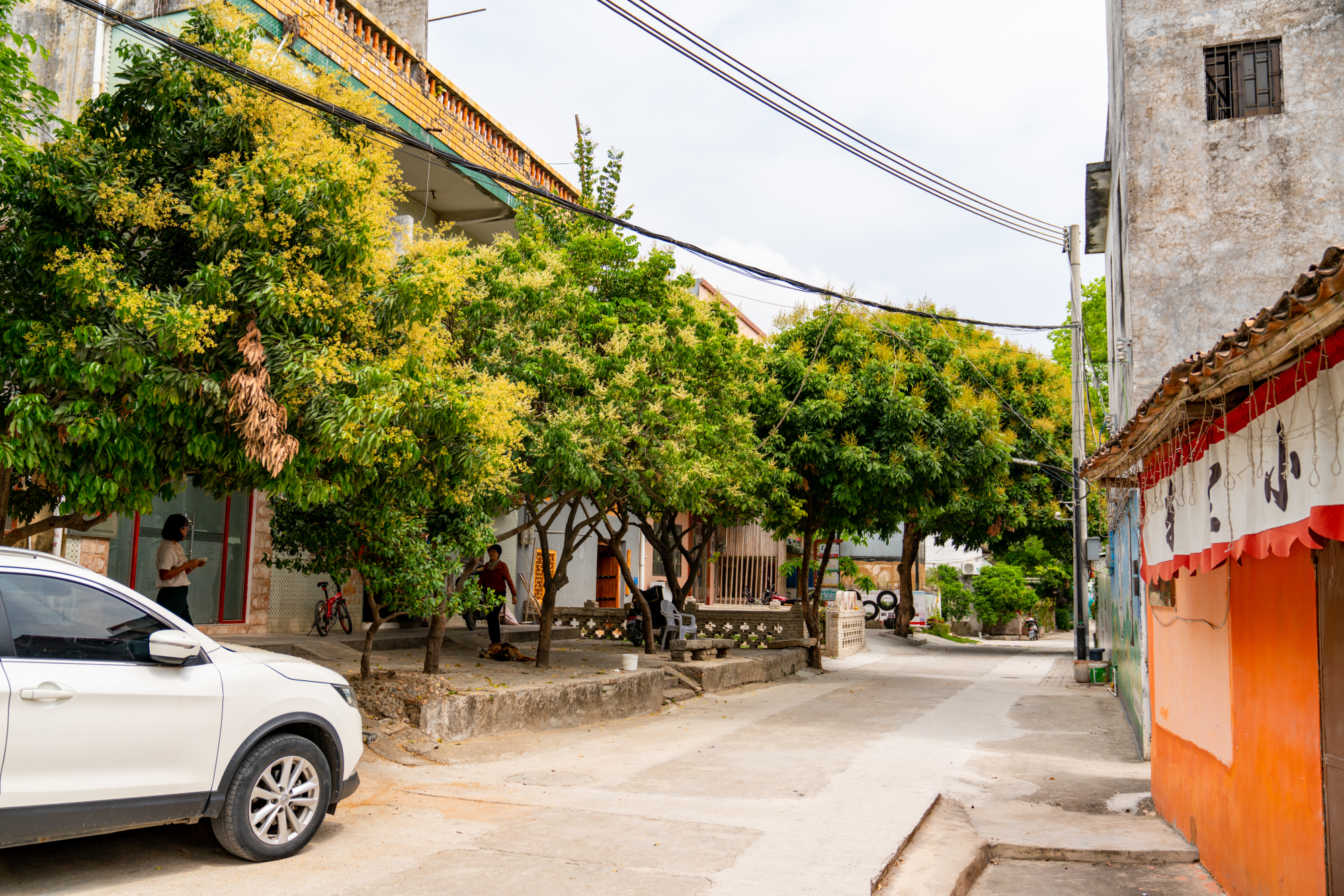 走进惠州——启航中的"文化部落"博罗观背村