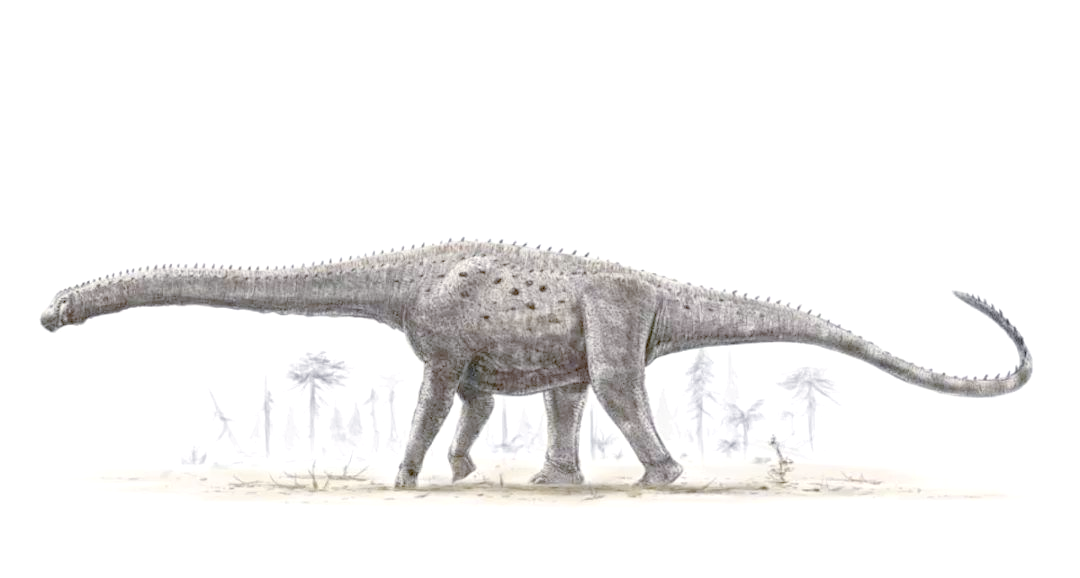 阿根廷龙:地球上曾经生活过的巨大陆地动物
