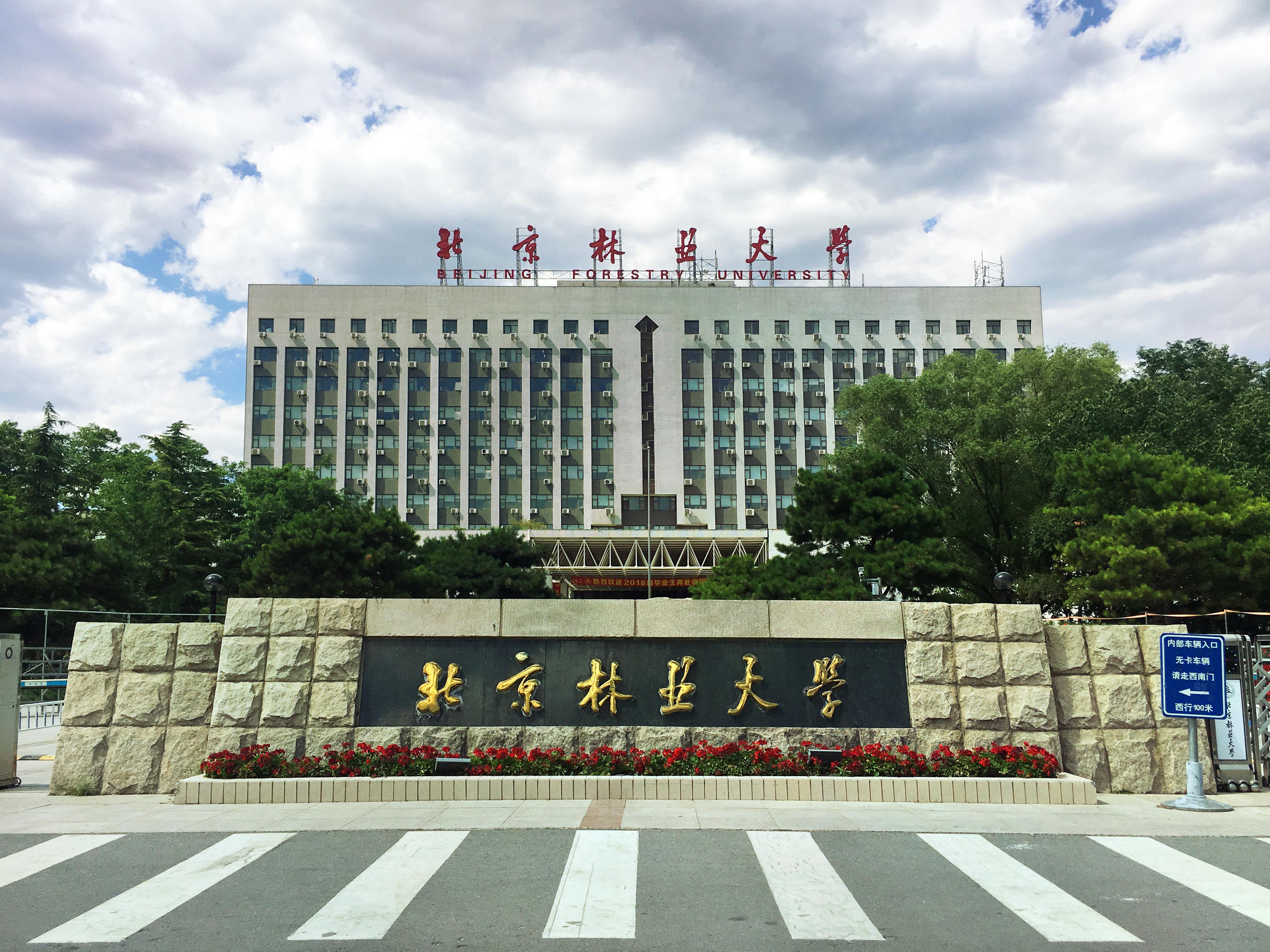 北京林业大学大门图片