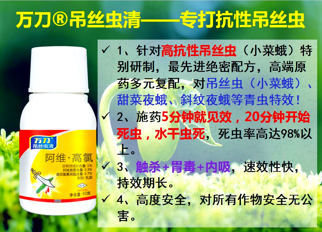 吊丝虫的危害特点与综合防治策略