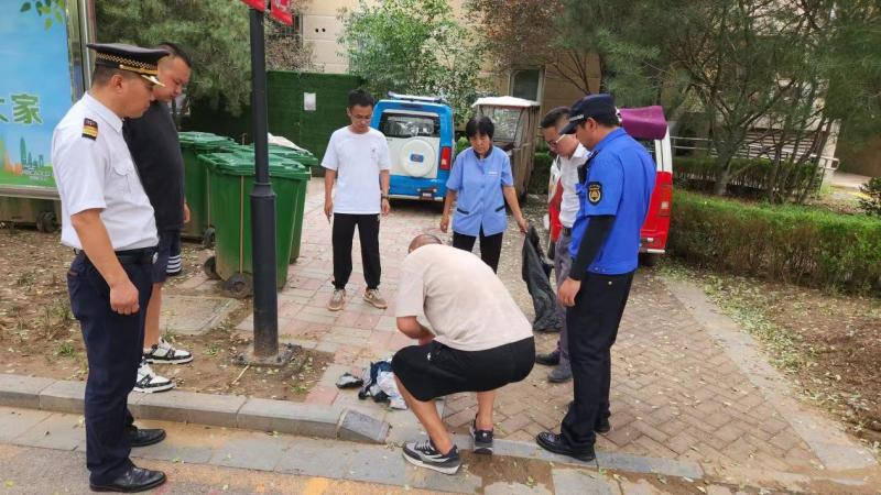 共建宜居环境大兴区西红门镇严厉打击偷倒垃圾行为