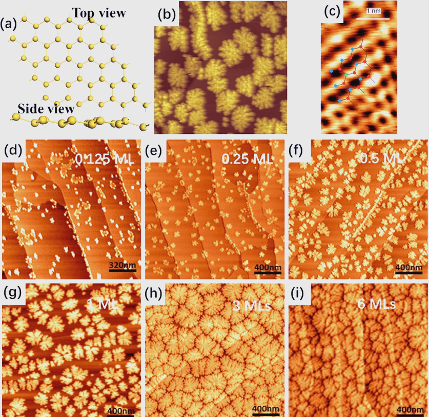 扫描隧道显微镜(stm)技术详解与应用探索