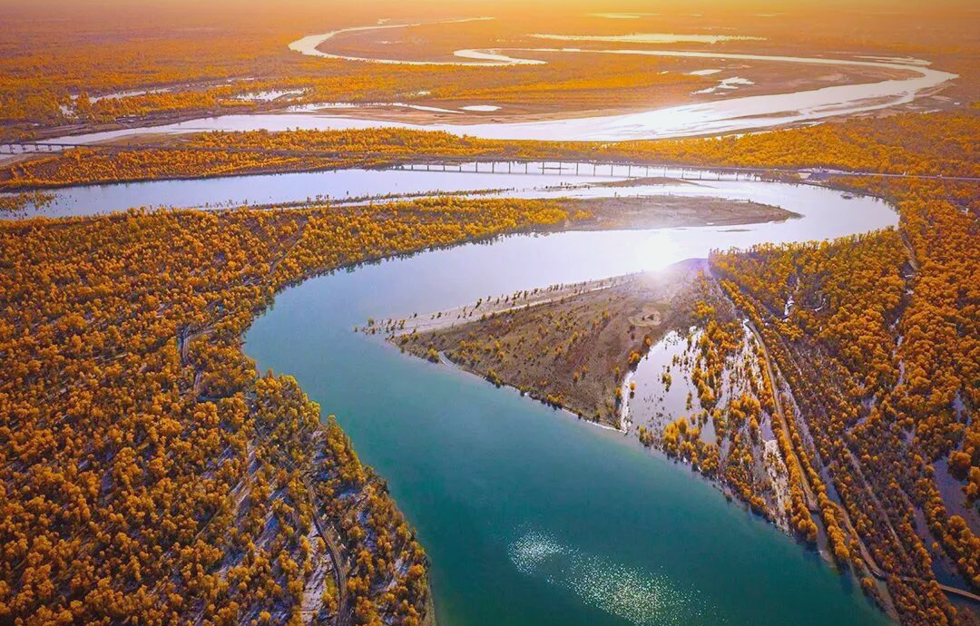 塔里木河与沙雅县:自然与人文的交响曲