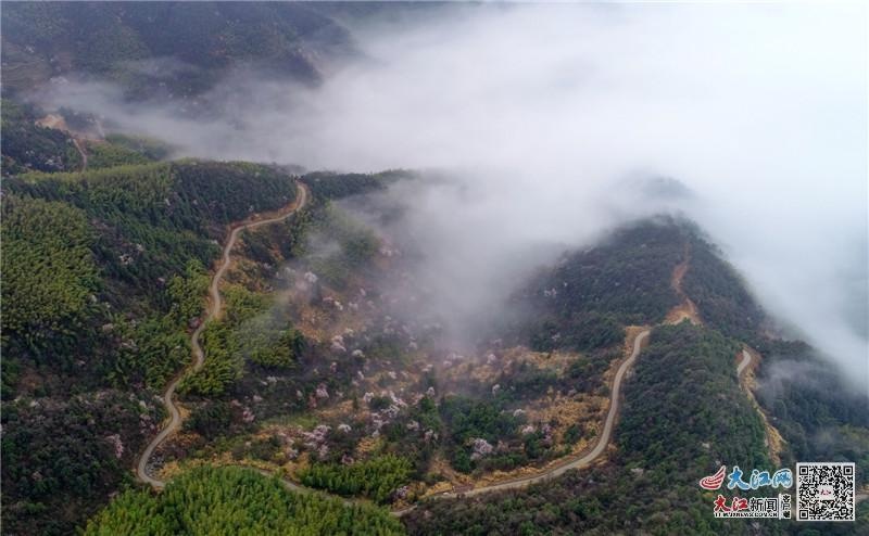 武宁县甫田乡:满山樱花香如雪 休闲踏春正当时(组图)