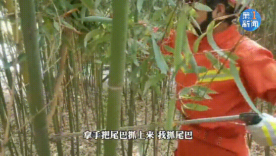 韩城市新城办碧桂园 充电站内一辆公交车底 ▼