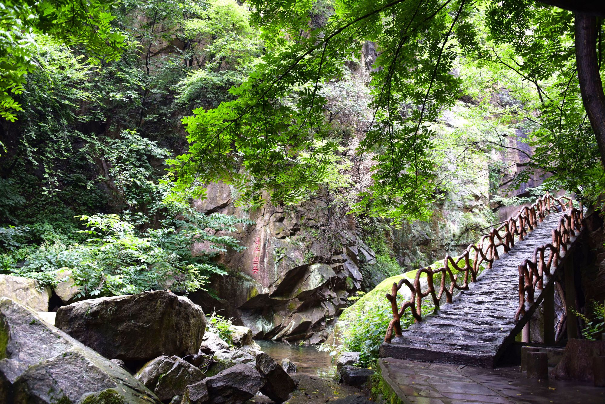 赏高山杜鹃 赢惊喜大奖 鲁山诗景龙潭峡邀您一起来看花花世界