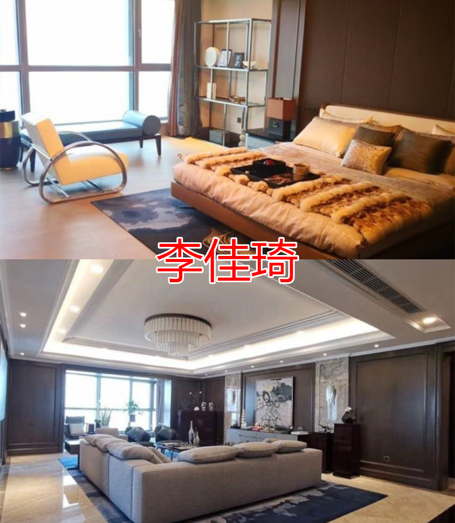 李佳琦的豪宅,马伯骞的豪宅,权志龙的豪宅,看到黄子韬的:博物馆吗?