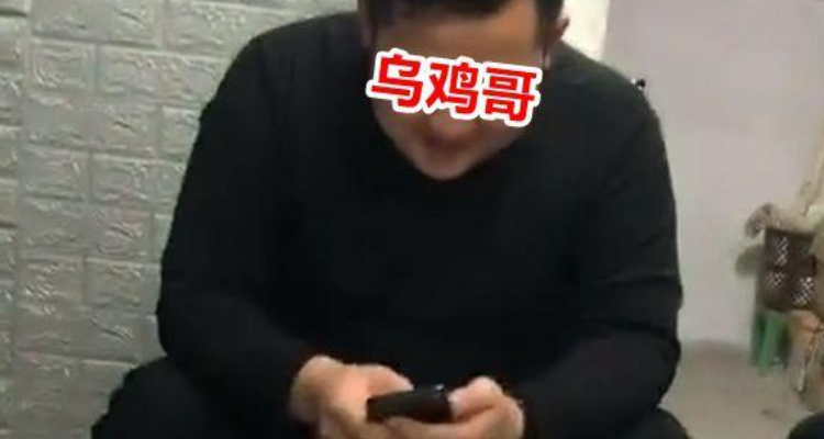 乌鸡哥是什么意思