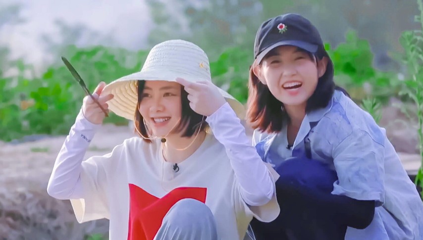 《向往的生活》蘑菇屋的场景,谭松韵张子枫真挚的友情,岁月静好