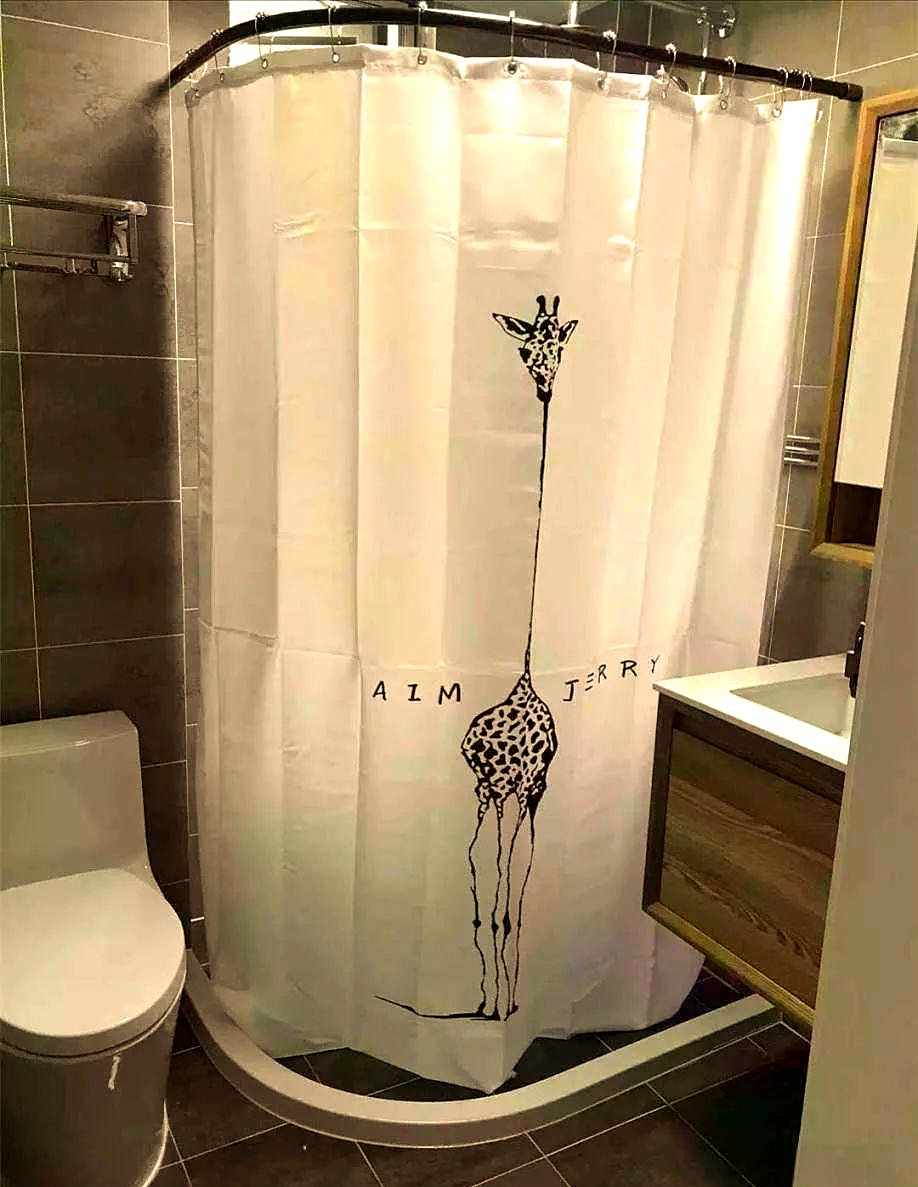 淋浴房与挂浴帘的选择:优缺点分析