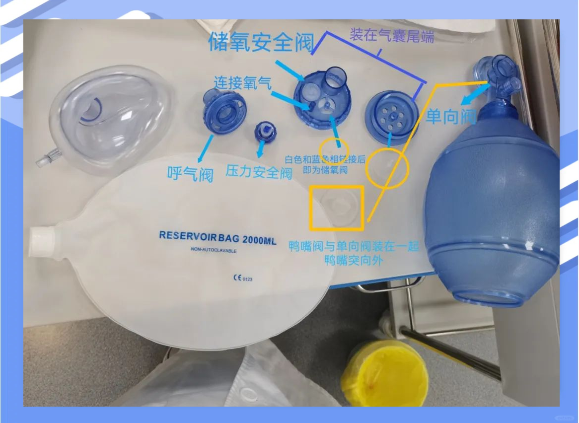 重新探索简易呼吸器:从拆卸到组装,全面了解其奥秘