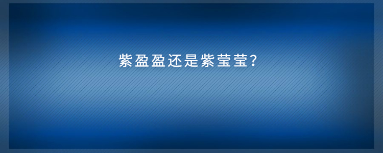 紫盈盈还是紫莹莹?