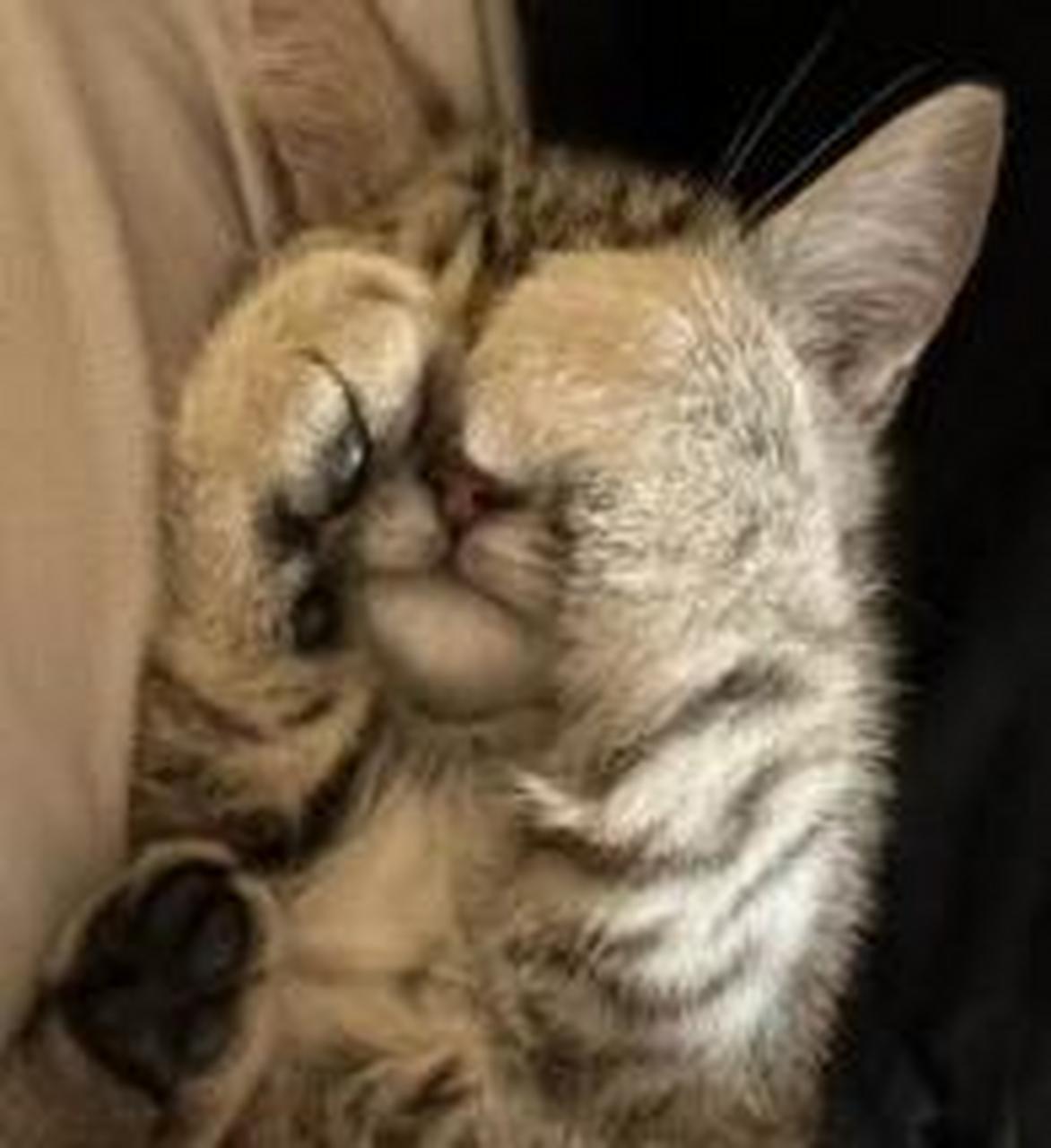 嫌我开灯太亮捂着眼睛睡着了