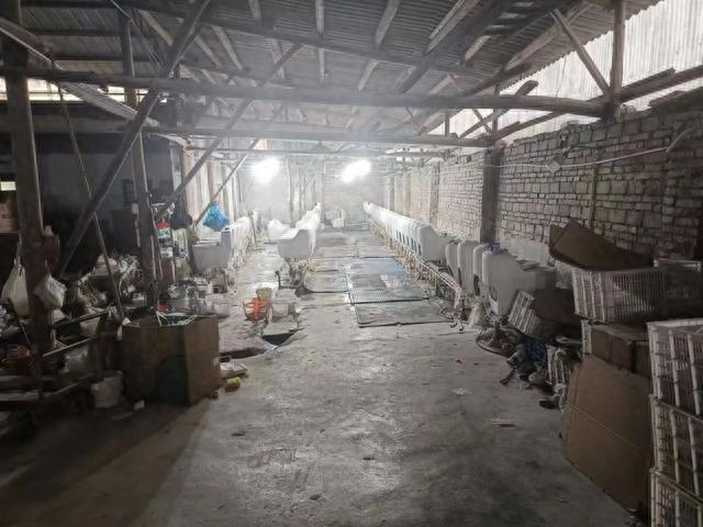 真坑假坑?全是坑!