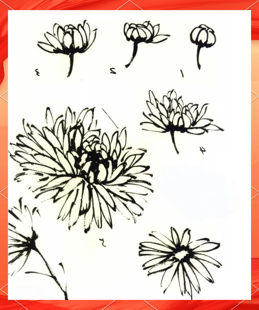 从花瓣到色彩:全面解析菊花的画法与文化意义