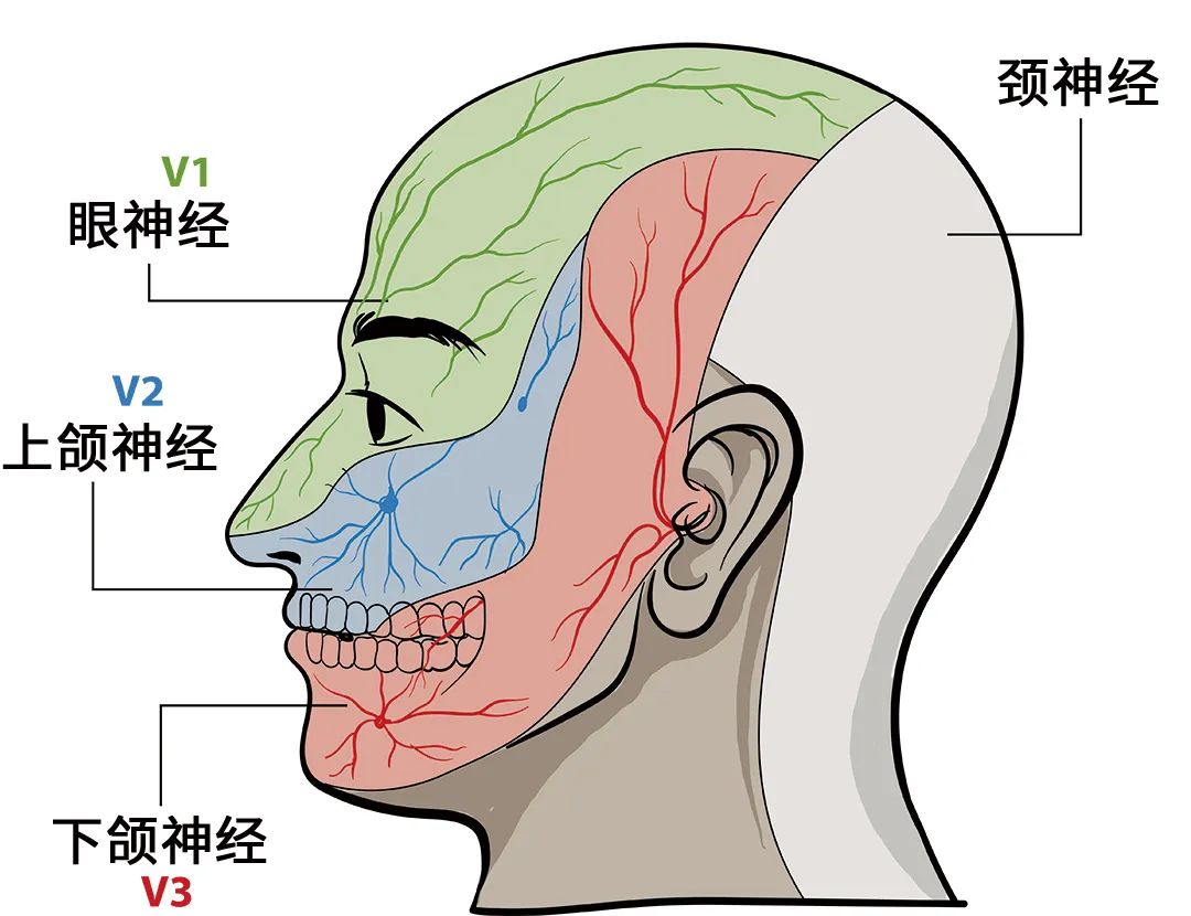 临床上这3种"疼痛",经历过的都是"超人"