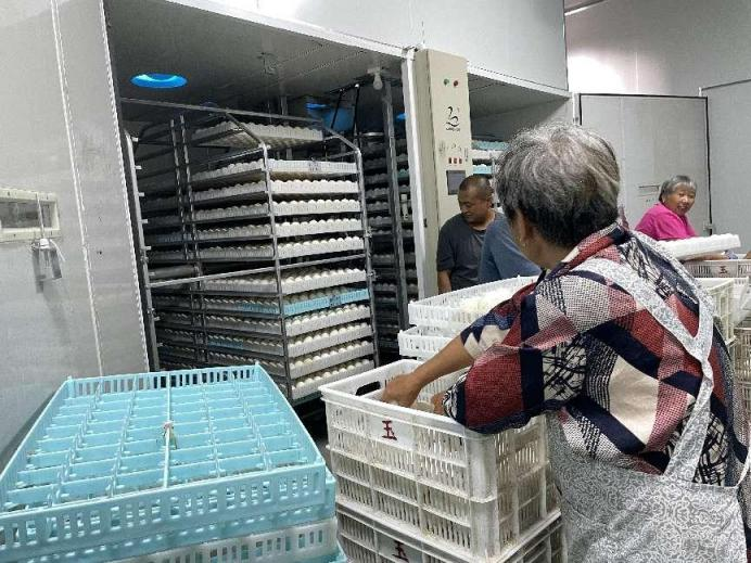 安徽大学法学院学子开展暑期"三下乡"活动