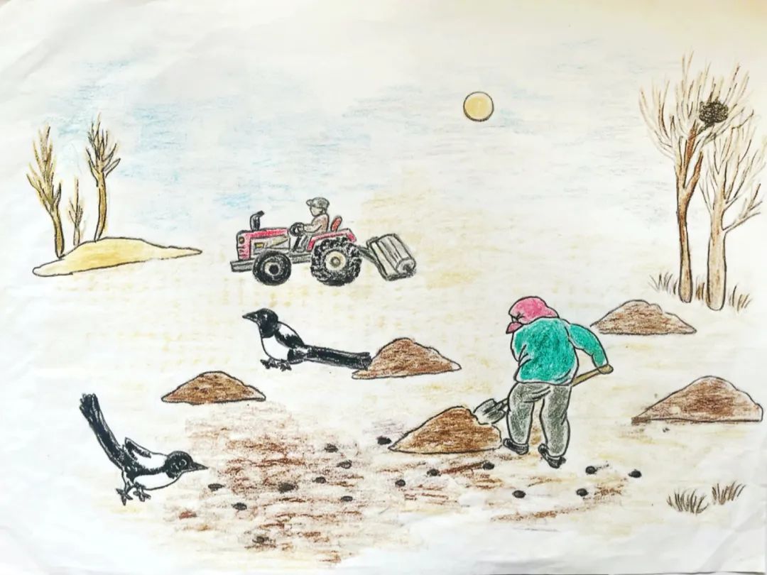 田鼠大婶在田里写作