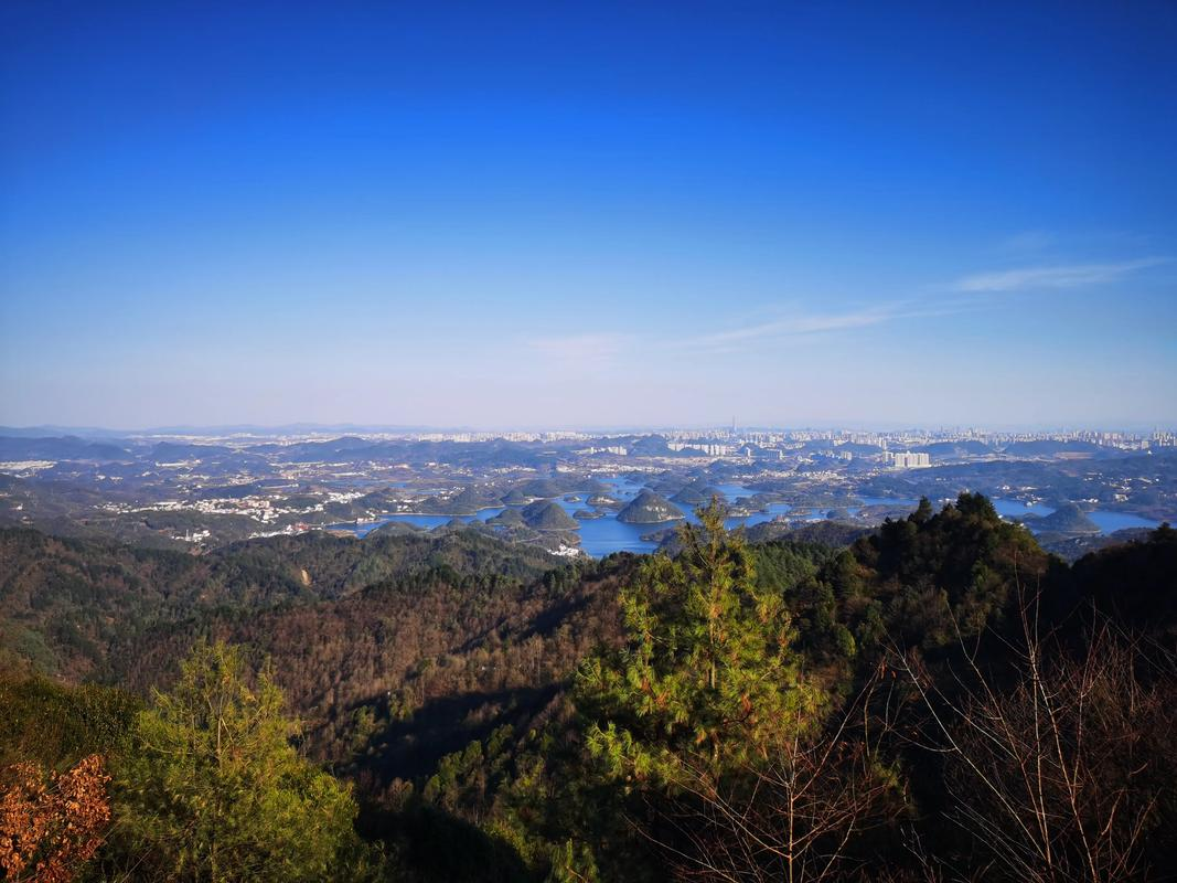 永嘉陡门梅岙村赏梅及九龙山古道徒步攻略