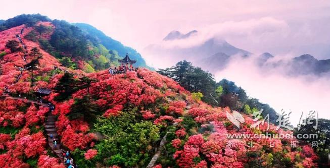 清明节假期,麻城龟峰山景区"补偿式出游"火爆