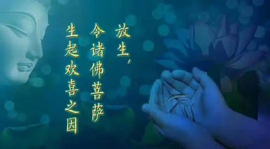 请把不花钱放生的方法法布施到圈子里,你会得到无边无量的福报!