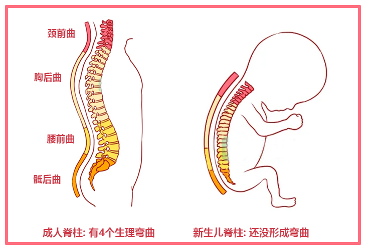 几个会损伤宝宝脊柱的动作