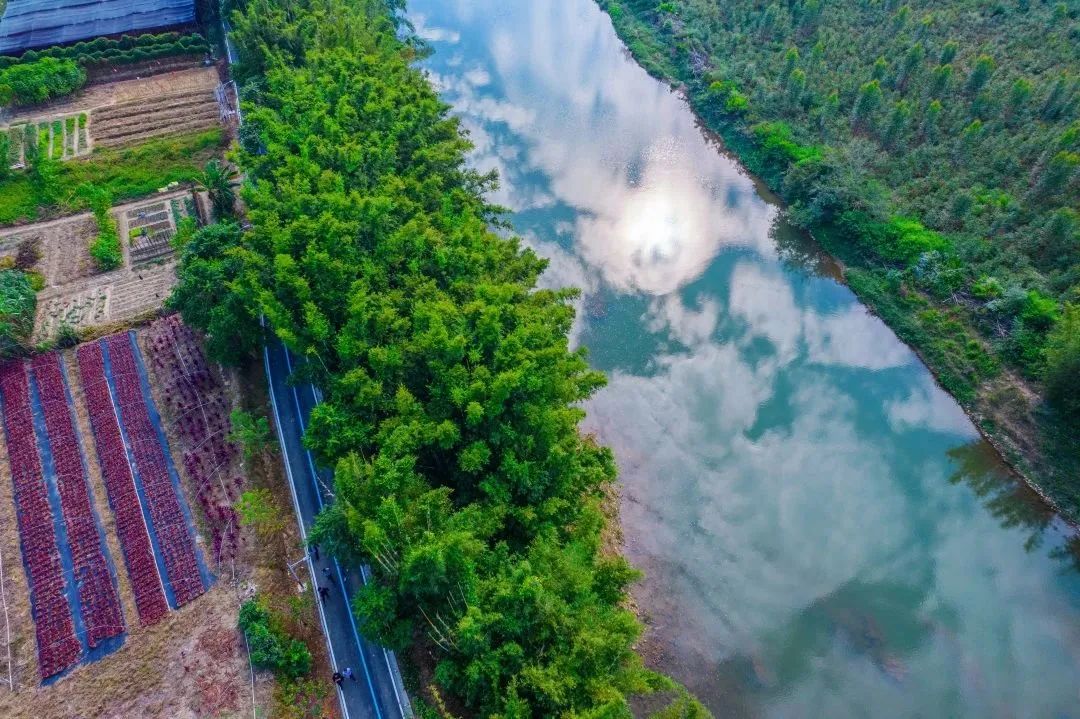 绿美恩平丨锦江河碧道