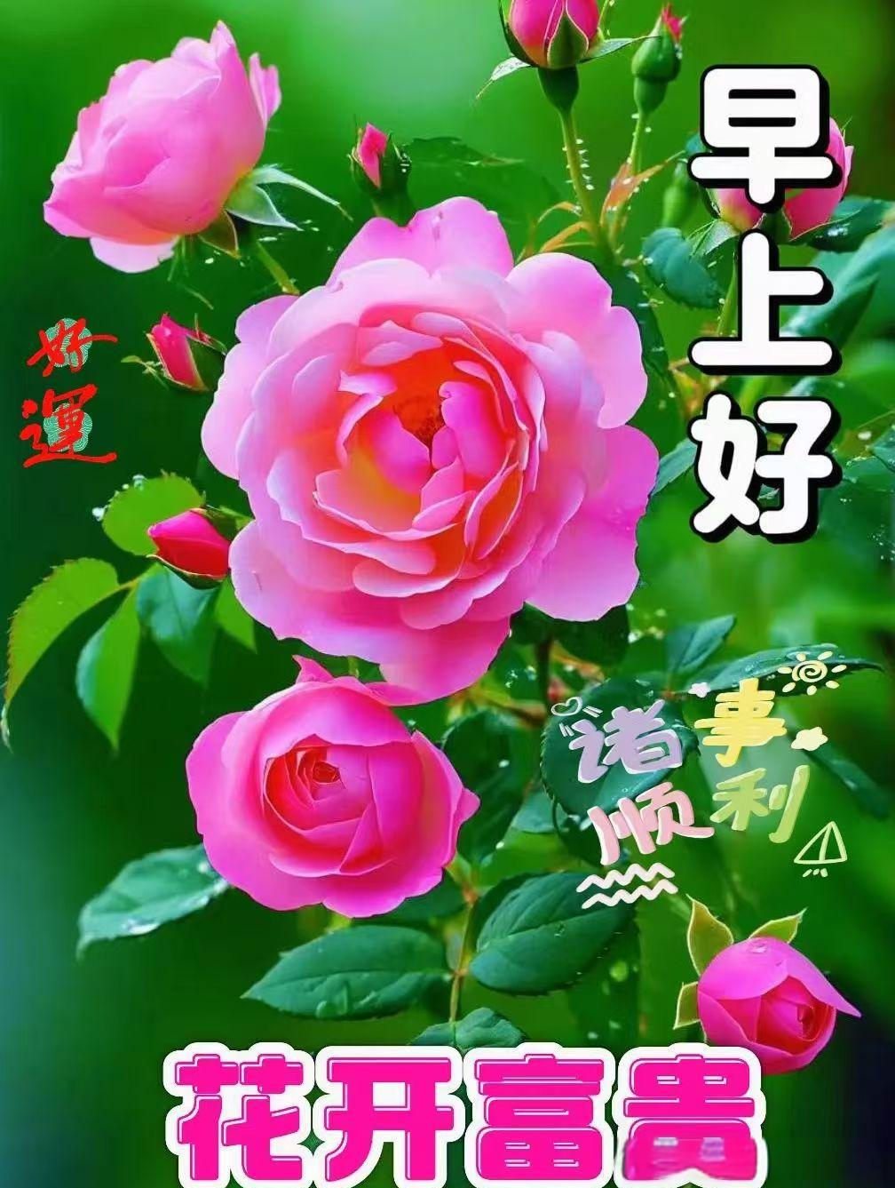 多款秋日风景早安问候祝福语图片,附文字描述与心意传递