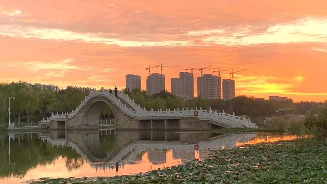 五好淄博 邀您拍摄丨绚丽多彩红莲湖