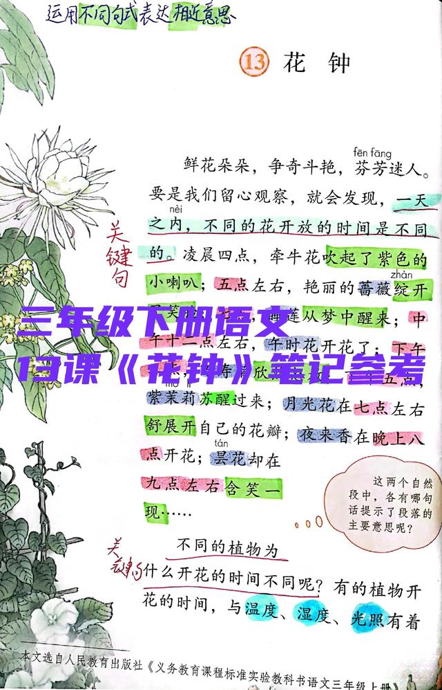 花钟的课堂笔记图片