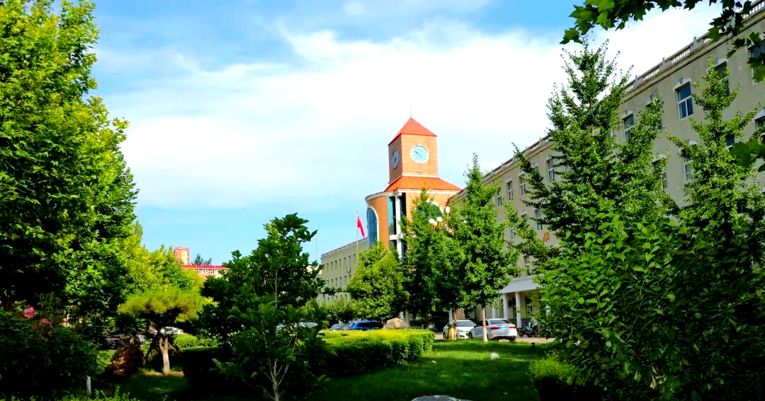 石家庄工商职业学院:从历史传承到现代教育的革新