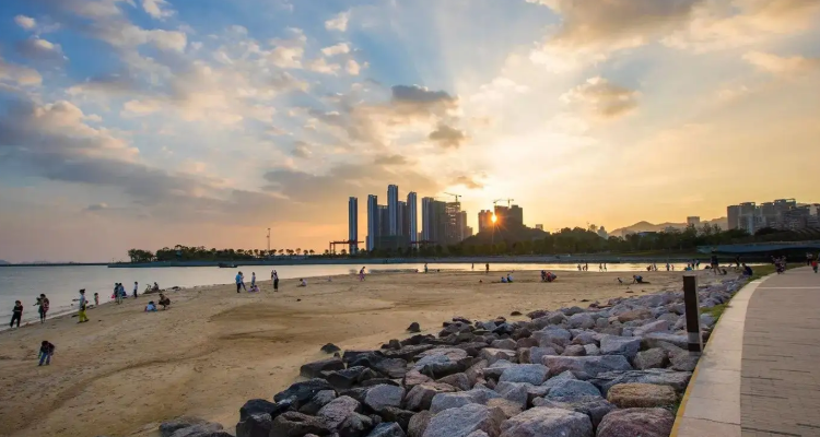 深圳湾公园景点介绍